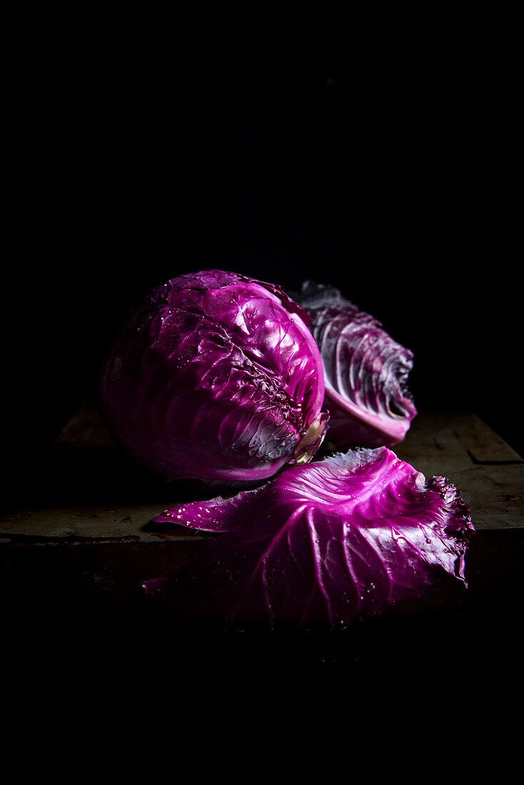 Purple Cabbage on a black background