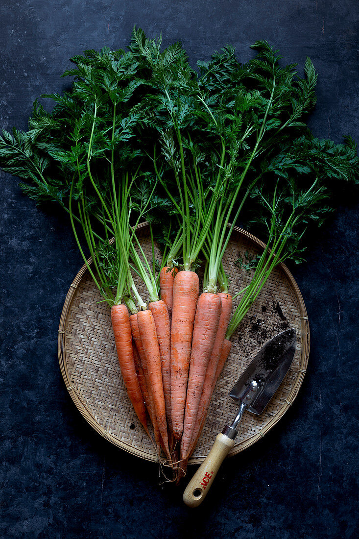 Fresh ripe carrots on a work surface