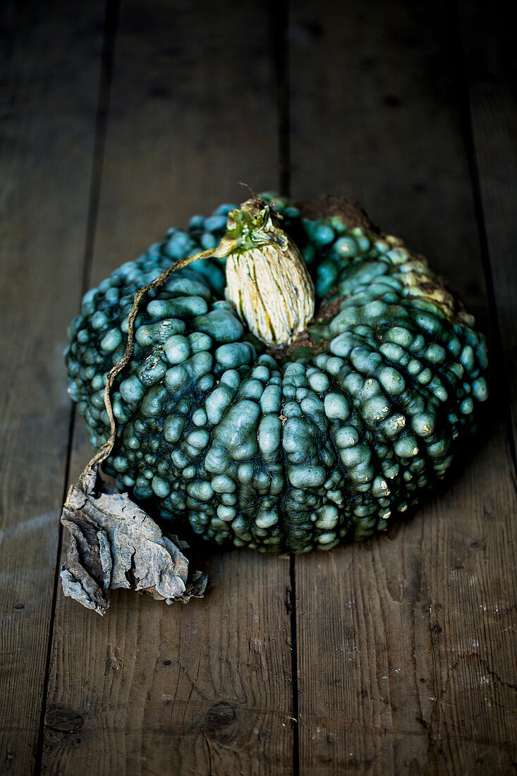 A blue knobbly pumpkin on rustic wooden table