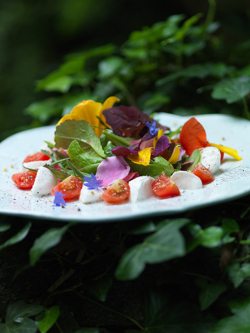 Bunter Frühlingssalat mit Tomaten, Mozzarella und Essblüten