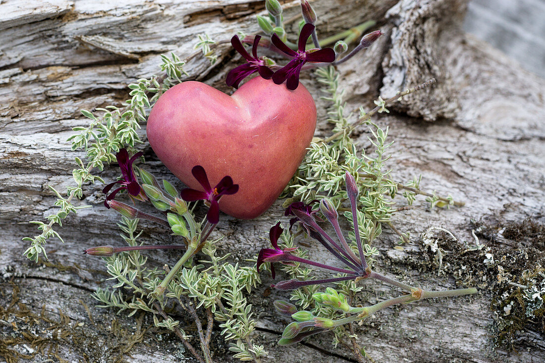 A pink decorative heart with herbs on a piece of wood