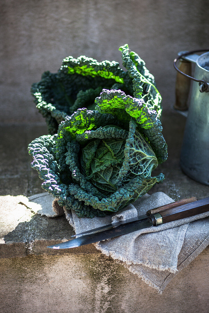 Savoy cabbage on a stone wall