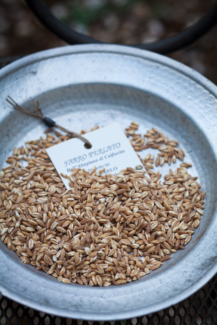 Spelt with a label on a metal plate