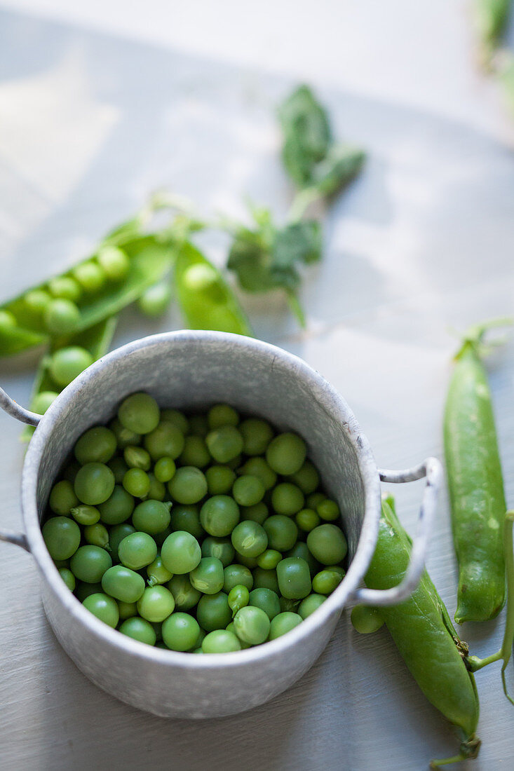 Fresh peas in a metal pot