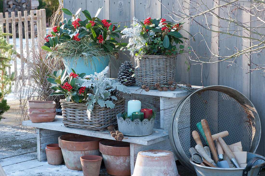 Arrangement mit Fruchtskimmien und Greiskraut auf Treppenetagere