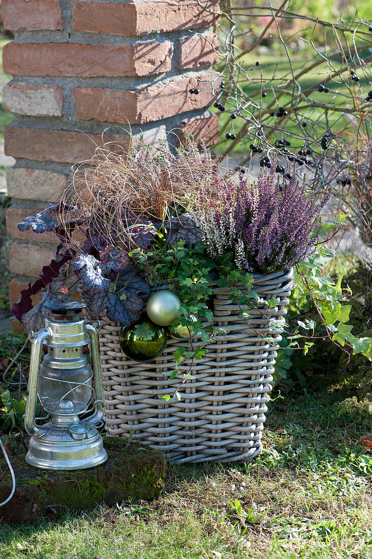 Basket with heather, ivy, coral bells and sedge, decorated with balls
