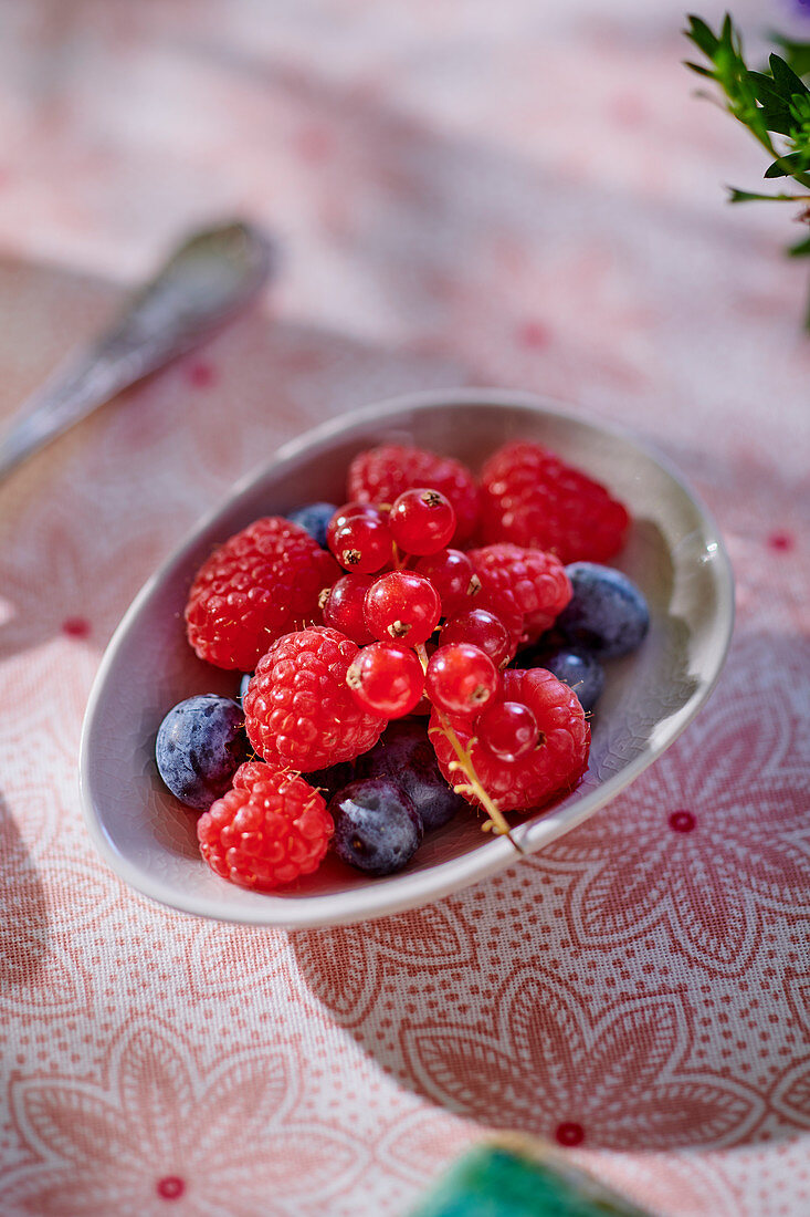 Fresh forest berries in a small bowl
