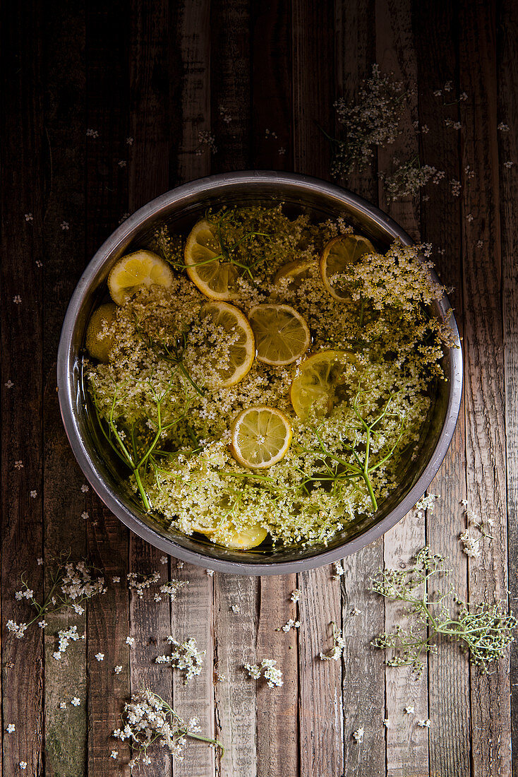 Elderflower cordial in making, elderflowers, lemon slices soaked in sugar syrup