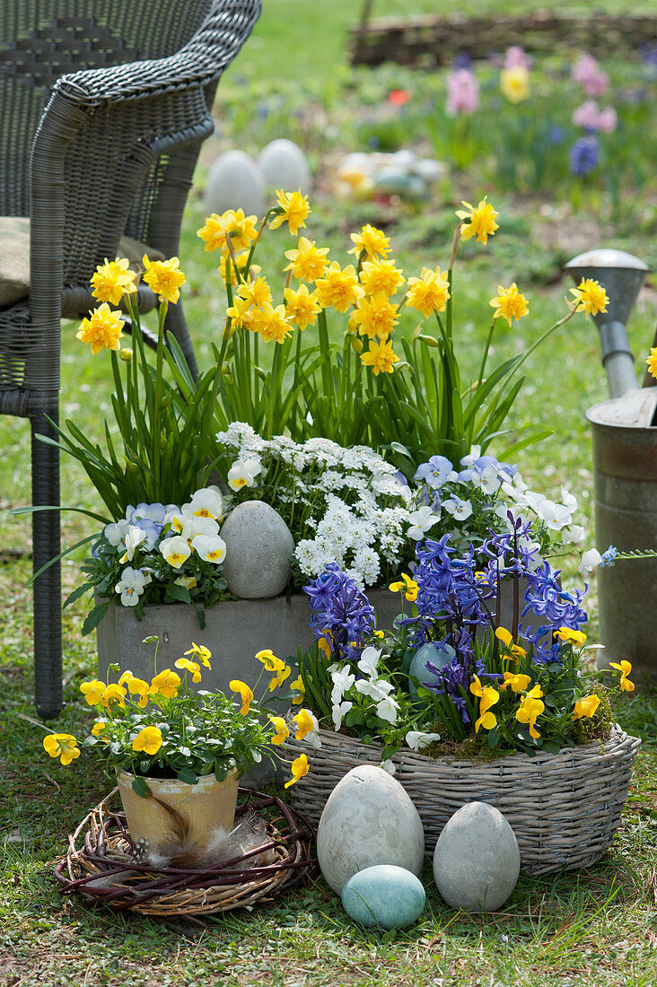 Easter pot arrangement with daffodils 'Rip van Winkle', horned violets, ribbon flower and hyacinths, Easter eggs and wreath of twigs