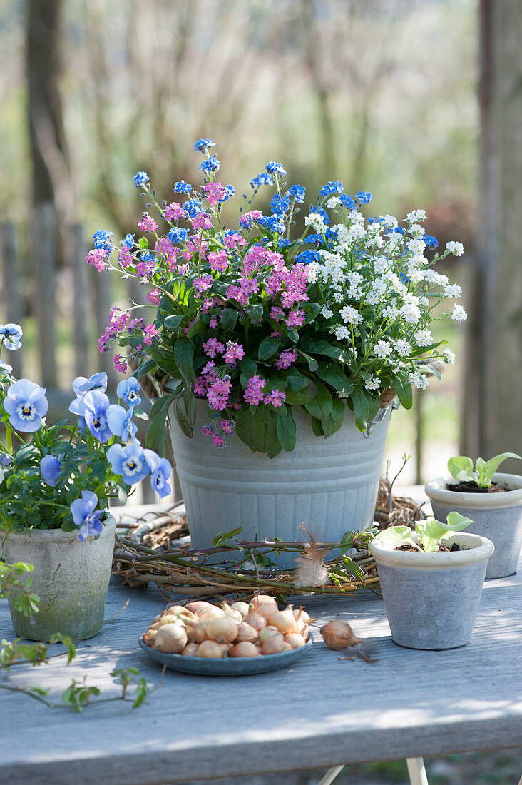 Forget-me-not - trio in white, pink and blue, violets, onions and wreath of twigs