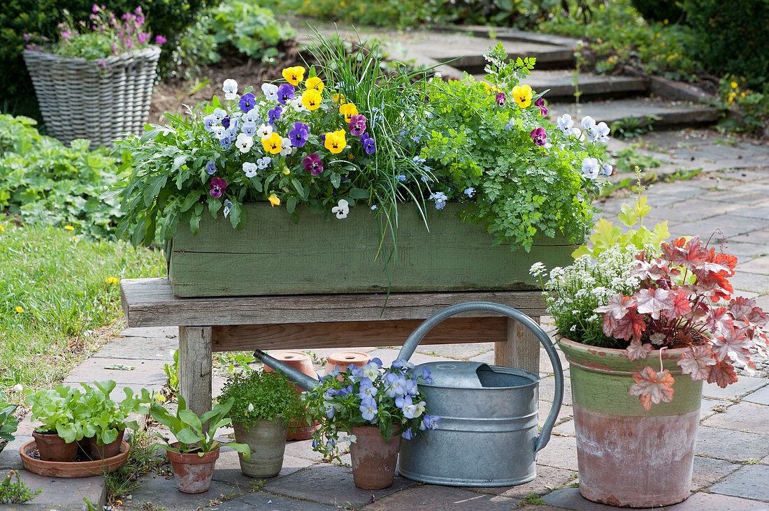 Wooden box with herbs and edible flowers