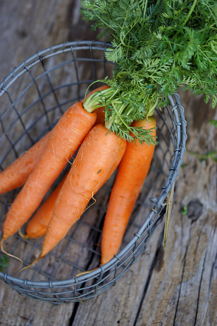 Carrots in a wire basket