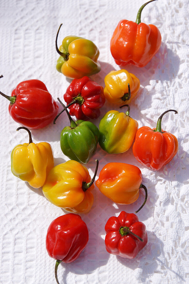 Peppers and chilli peppers