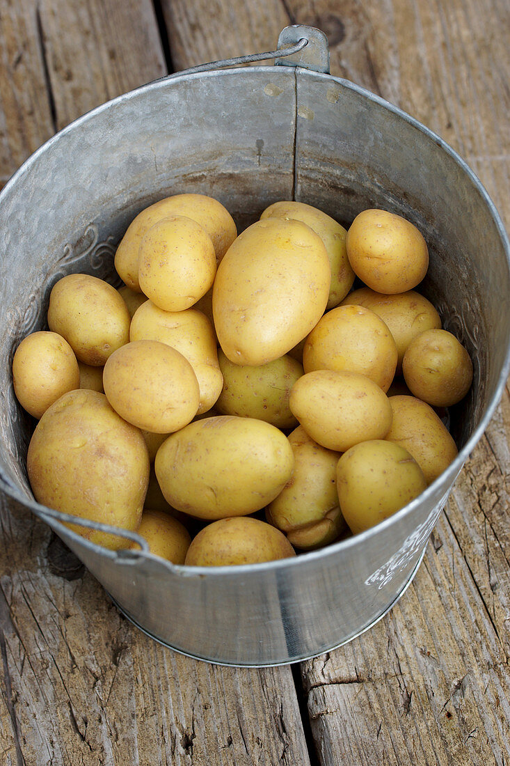 Potatoes in a zinc bucket