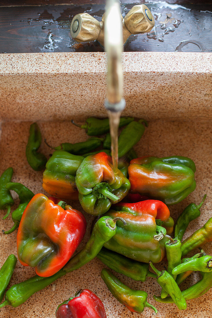 Paprika und Peperoni im Waschbecken