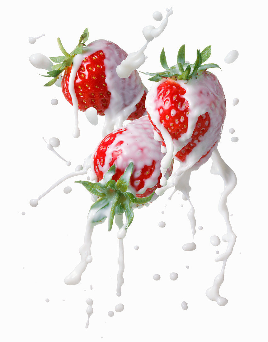 Erdbeeren mit Milchsplash
