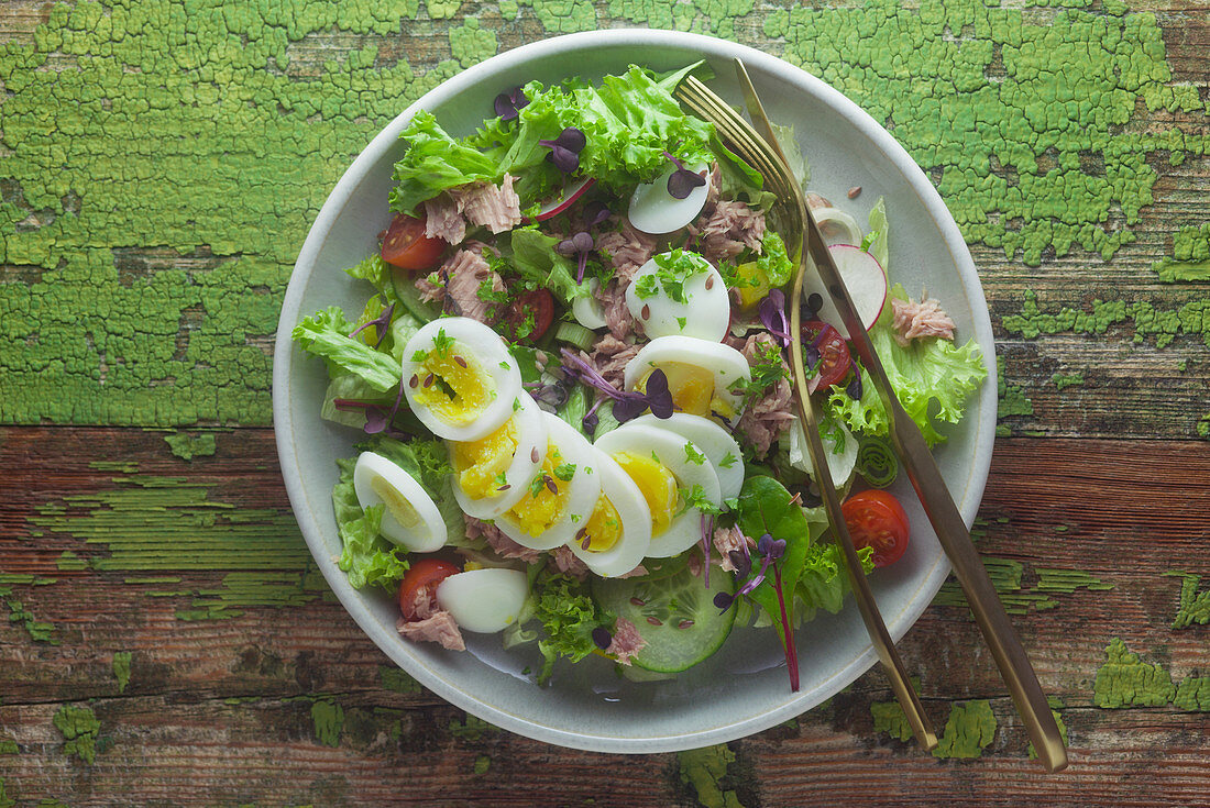 Mixed leaf salad with tuna and egg