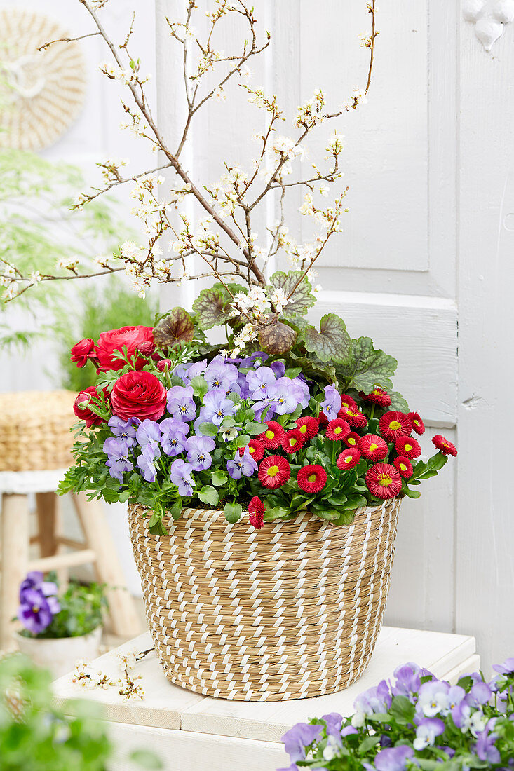 Spring container