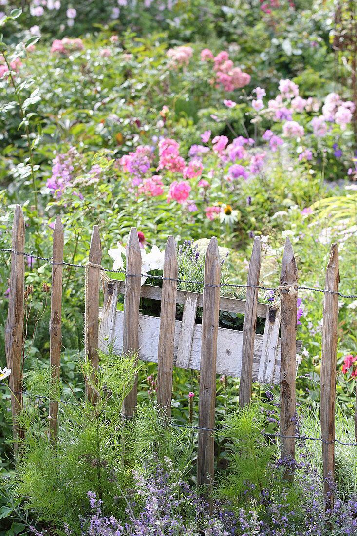 Planter hung from paling fence in flowering garden