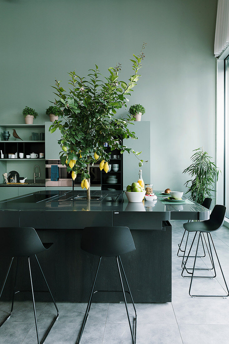Charcoal-grey island counter with bar stools and lemon tree planted in centre in kitchen of loft apartment