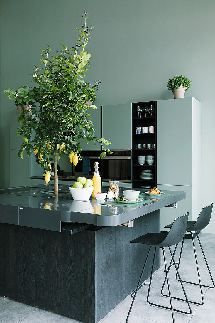 Charcoal-grey island counter with lemon tree planted in centre and bar stools in open-plan kitchen