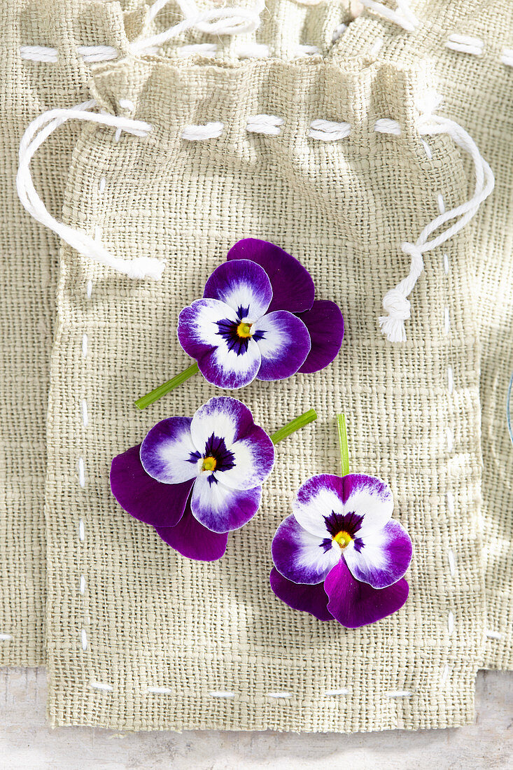 Pansy gift bag