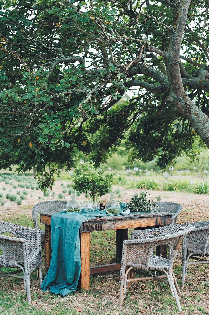 A laid table in a garden
