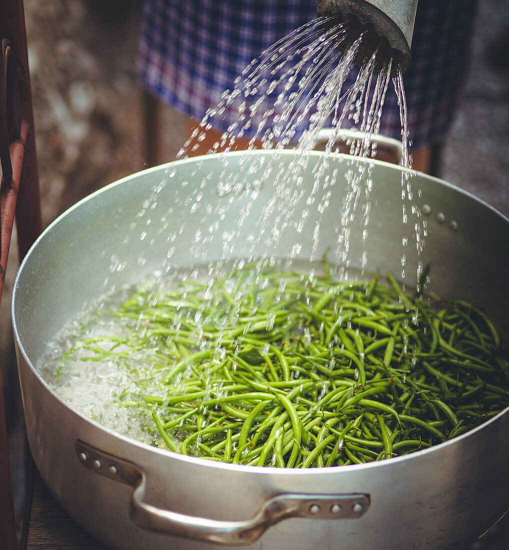 Green beans in a pot being watered with a watering can