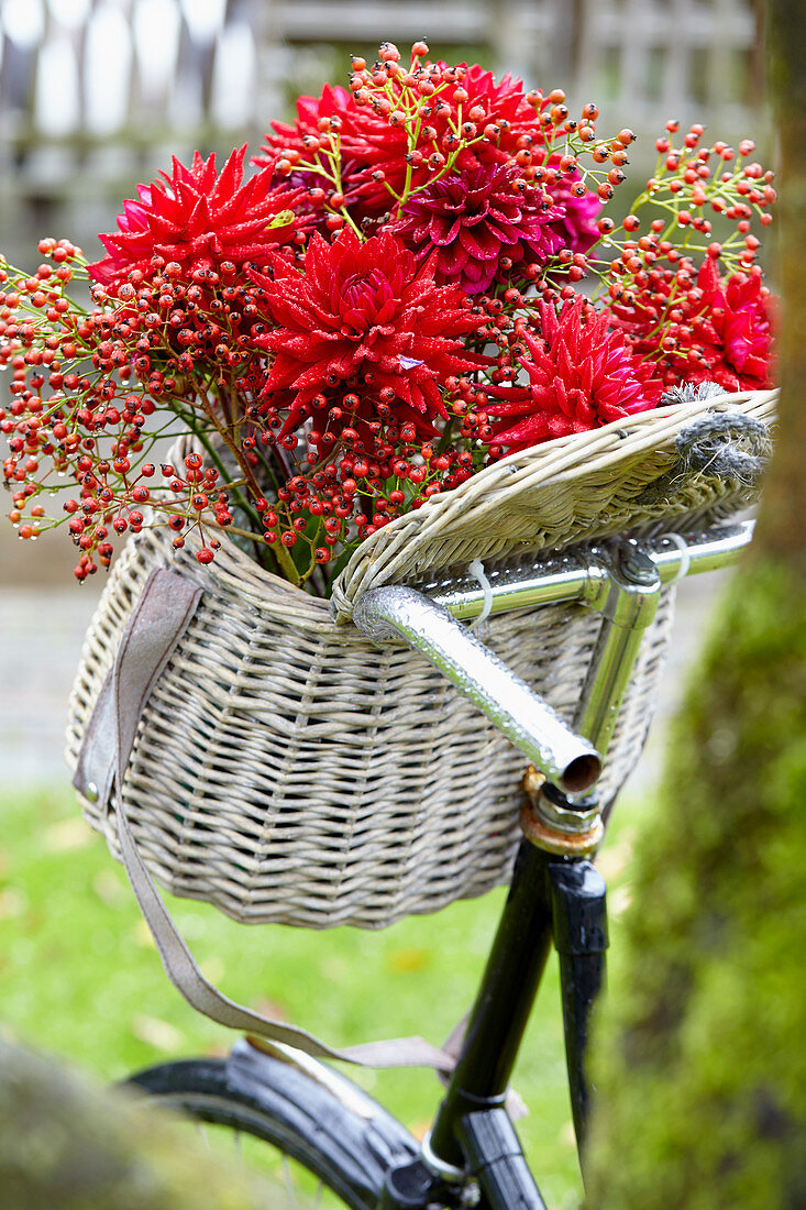 Flowers in bicycle basket