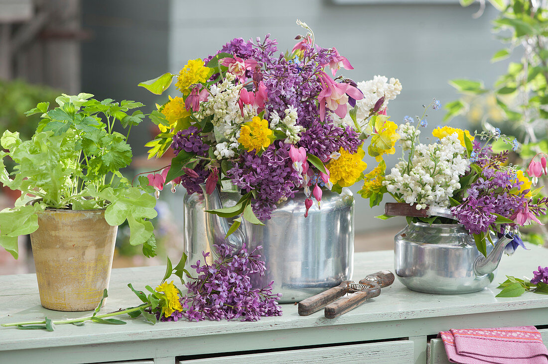 Bouquets of lilac, milkweed, columbine and bleeding heart in old tea kettles, pot with lettuce and coriander