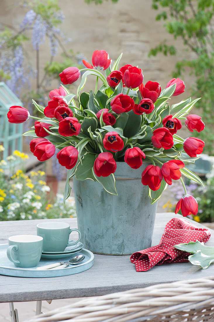 Strauß aus roten Tulpen
