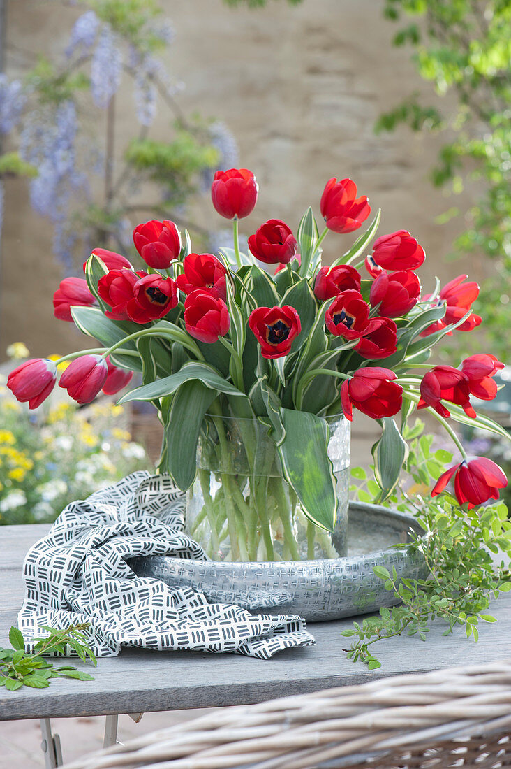 Strauß aus roten Tulpen in Glasvase