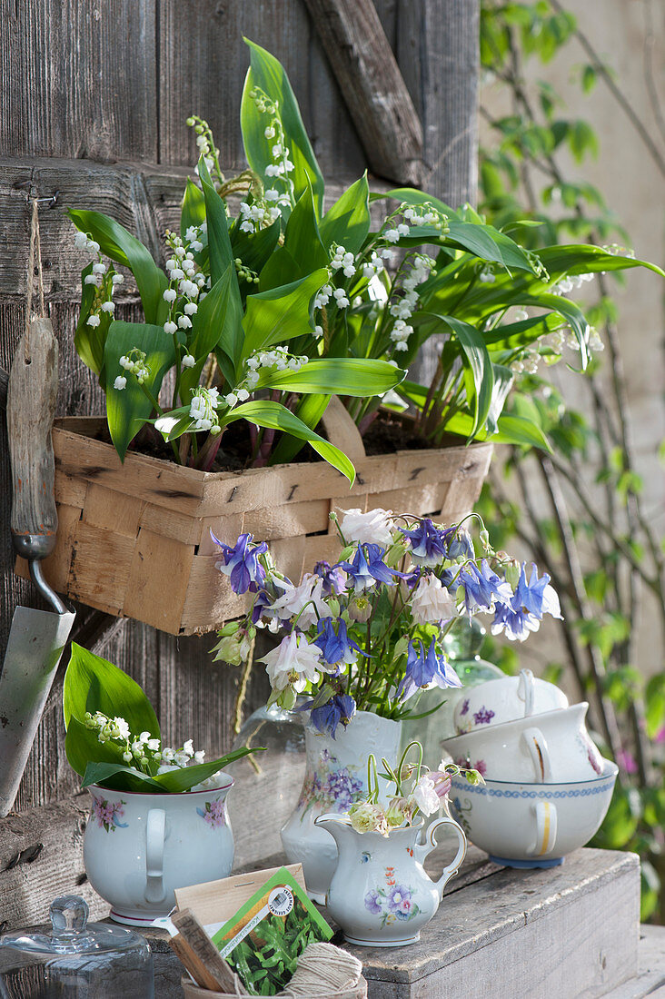 Lily of the valley in a chip basket hung on the wall, small bouquets with columbines in a creamer