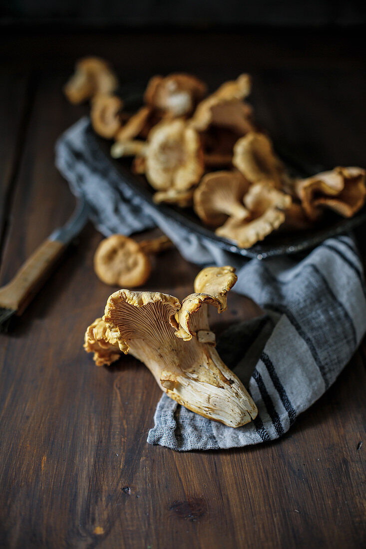 Frische Pfifferlinge auf Tuch und Holztisch