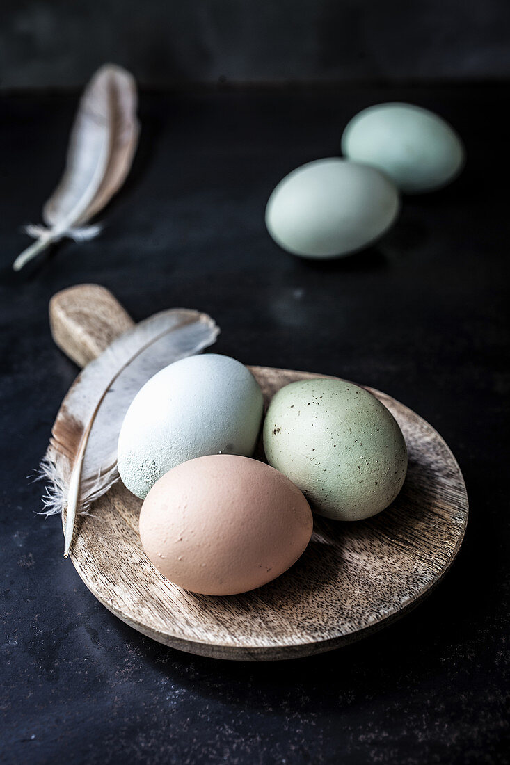 Eggs and feathers