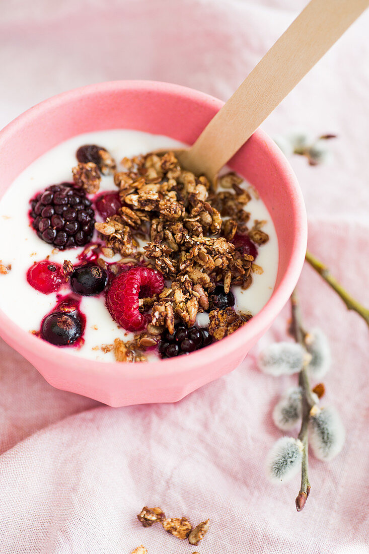Crunchy muesli with yoghurt and berries