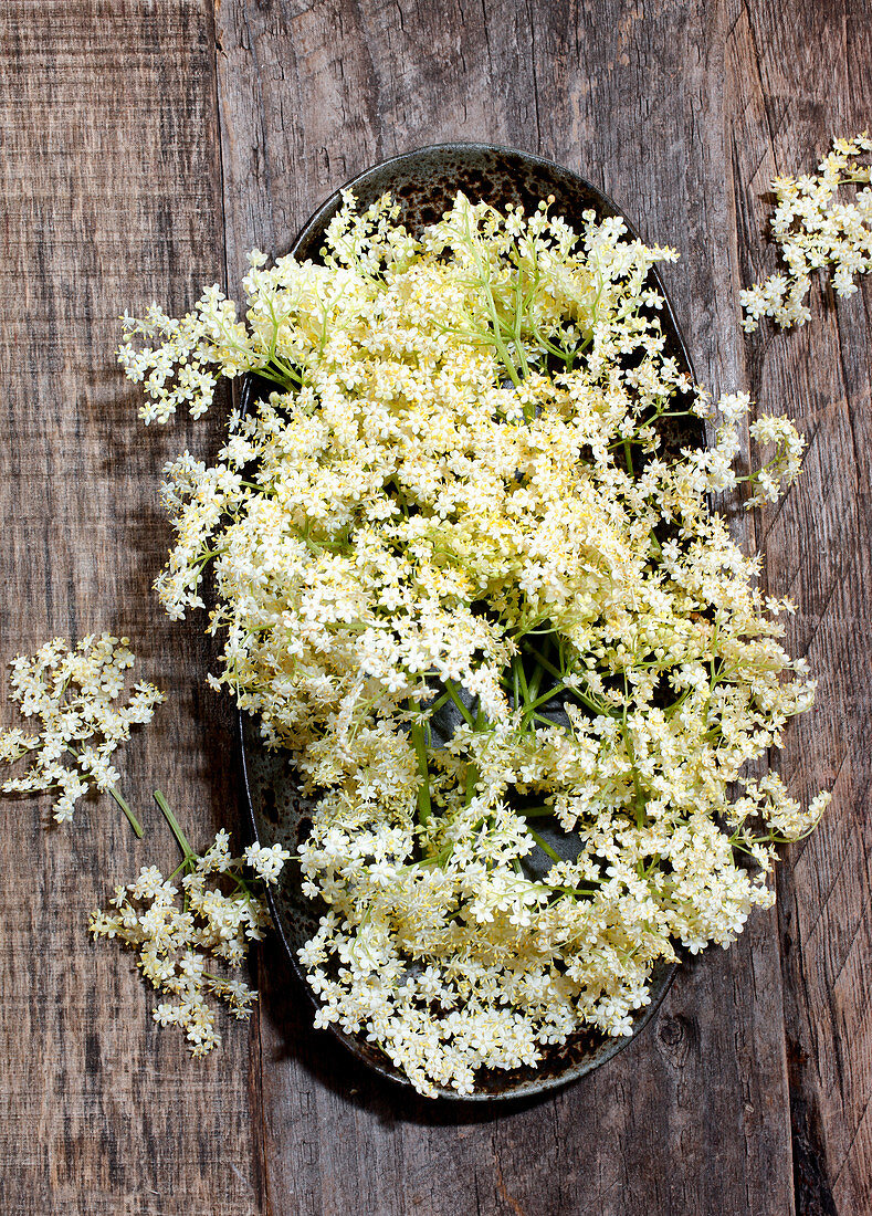 Holunderblüten in Schale auf Holzuntergrund