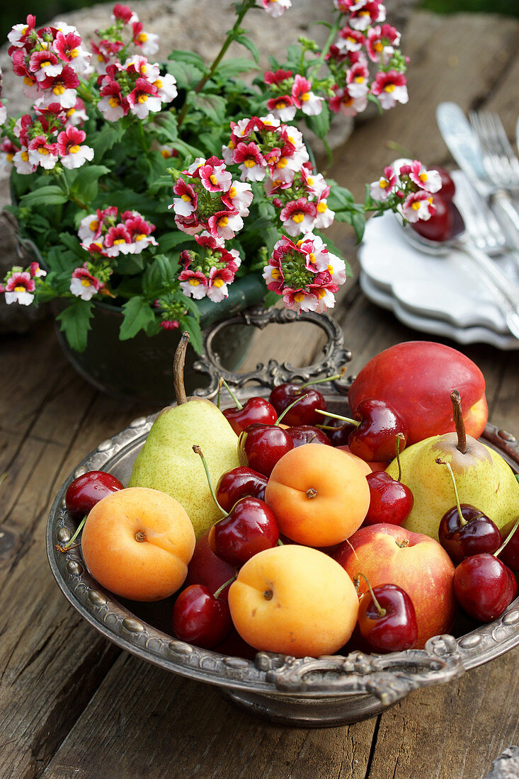 Fruit bowl with summer fruits and potted nemesia flowers