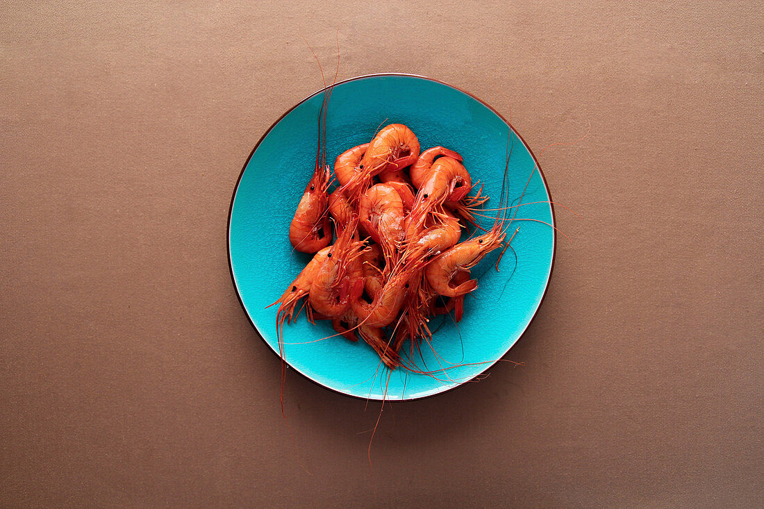 From above ready appetizing prawn in blue plate on brown background