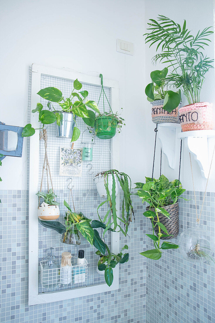 Houseplants in bathroom with mosaic tiles