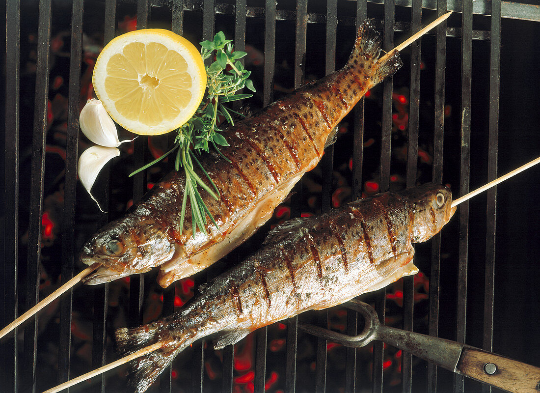 Whole brook trout on wooden sticks on a grill