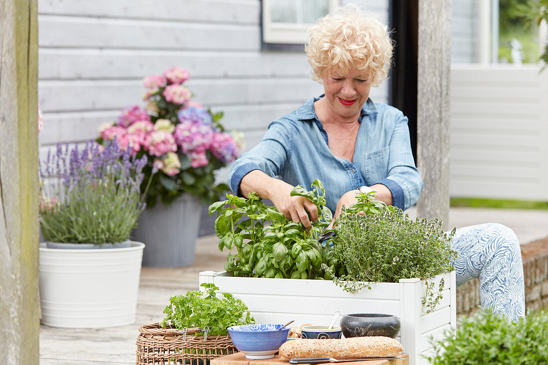 Lady cutting herbs