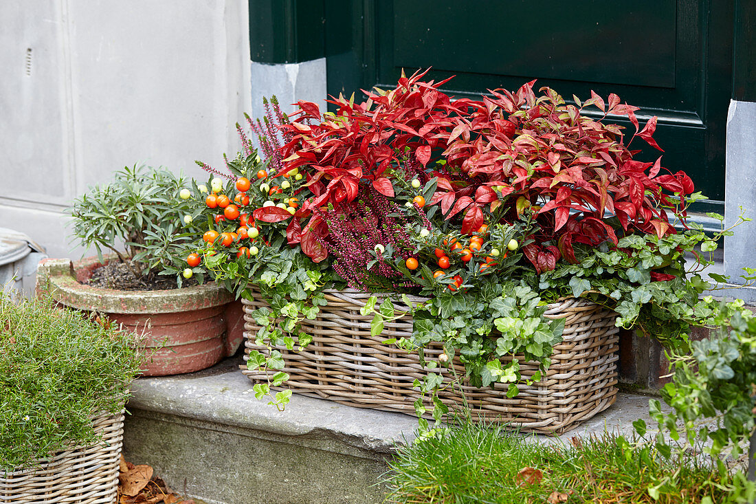 Autumn container