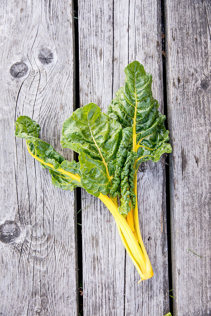 Yellow chard on a wooden surface