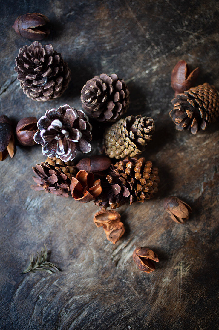 Various pine cones on a wooden surface