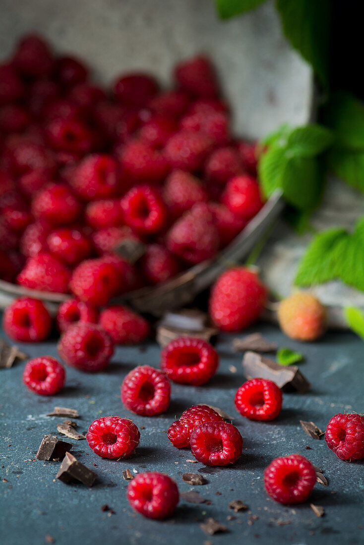 Frische Himbeeren und Schokoladenstückchen