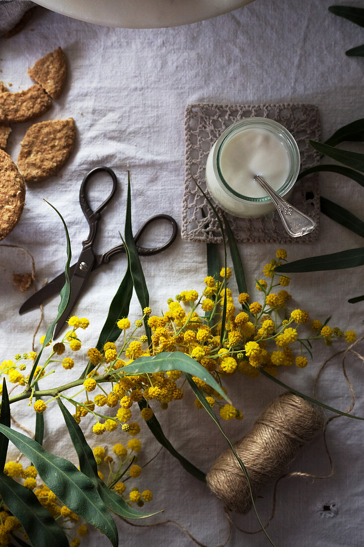 Joghurt, Cookies, alte Schere, Bindfaden und gelbe Blumen