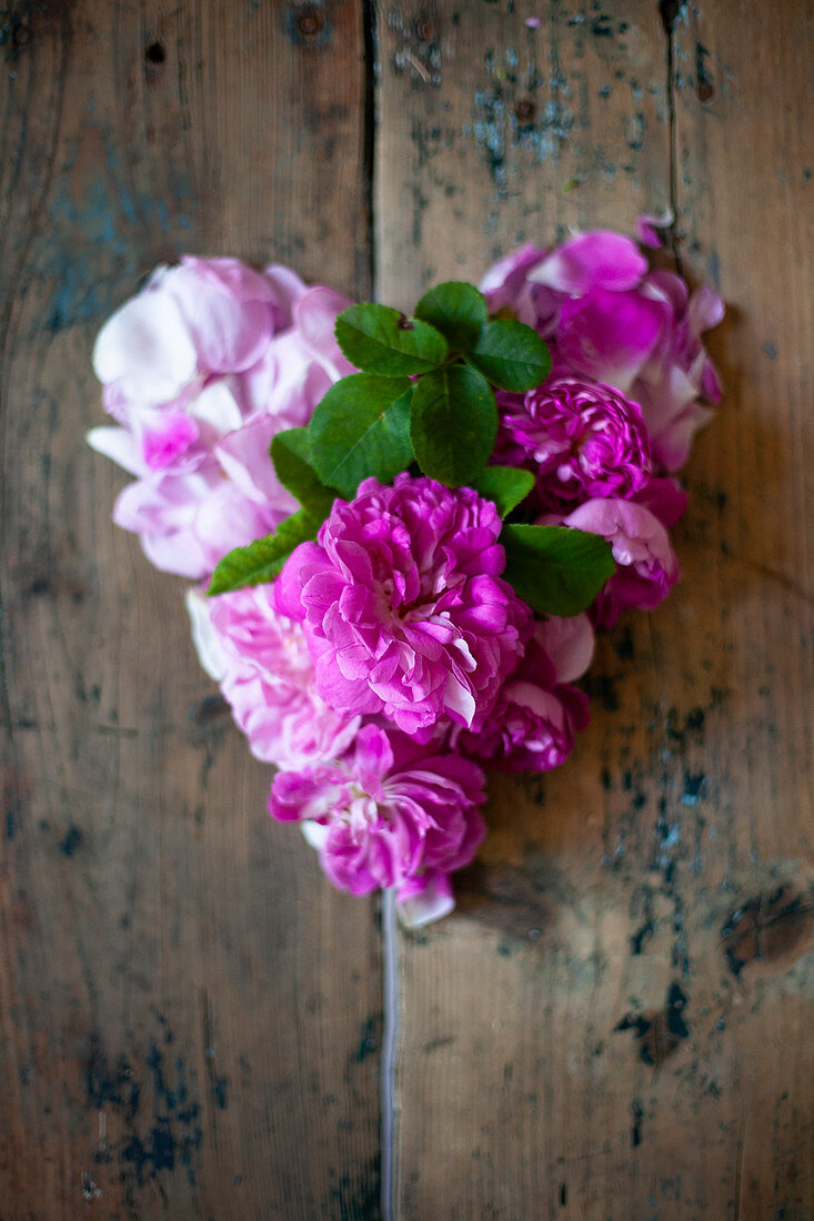Pink roses on wooden table