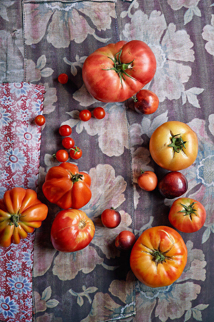 Tomatenvielfalt, verschiedene Tomaten auf geblümten Stoff