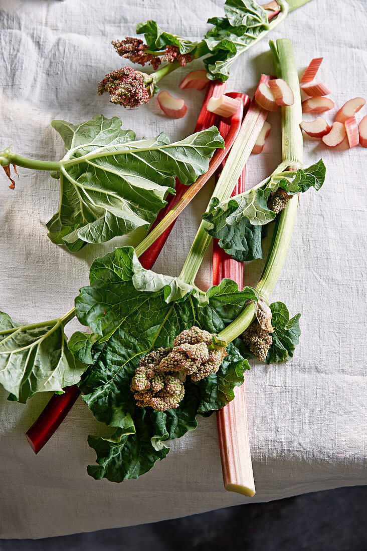 Freshly harvested rhubarb